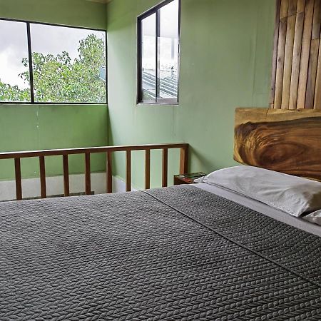 Monteverde Monte Green المظهر الخارجي الصورة