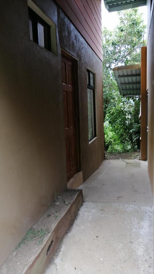 Monteverde Monte Green المظهر الخارجي الصورة