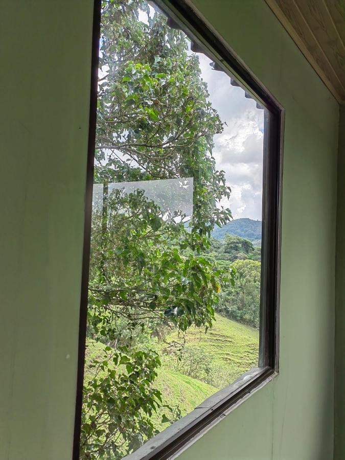 Monteverde Monte Green المظهر الخارجي الصورة